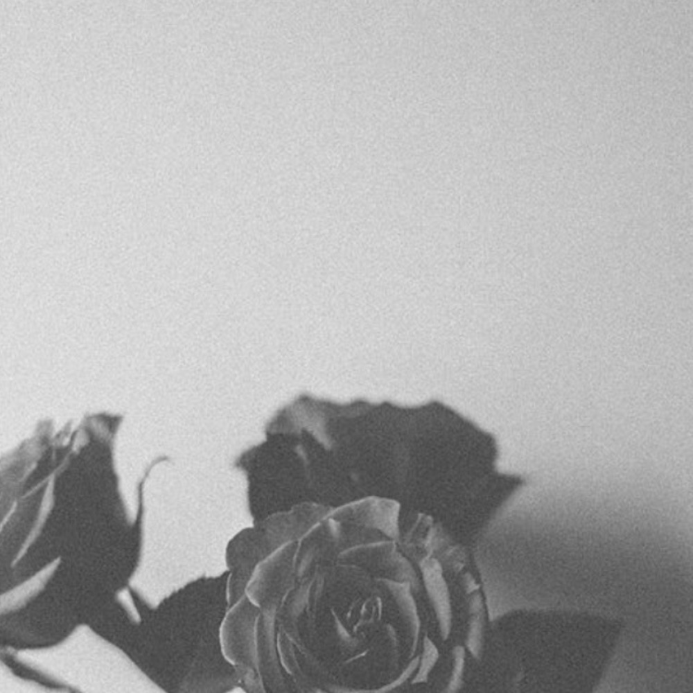 Meet your Posher, Haru